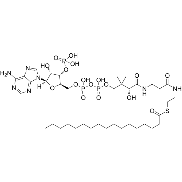 Heptadecanoyl Coenzyme A 3546-17-6